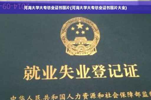 河海大学大专毕业证书图片(河海大学大专毕业证书图片大全)