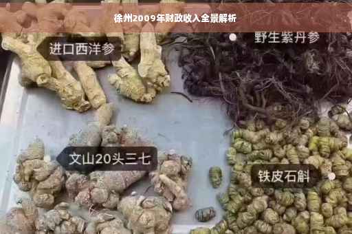 徐州2009年财政收入全景解析