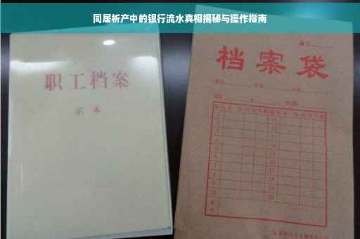 同居析产中的银行流水真相揭秘与操作指南