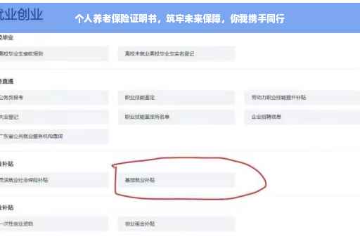 个人养老保险证明书，筑牢未来保障，你我携手同行