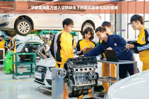 孕期离婚男方收入证明缺失下的现实困境与应对策略