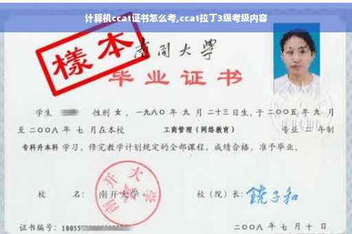计算机ccat证书怎么考,ccat拉丁3级考级内容
