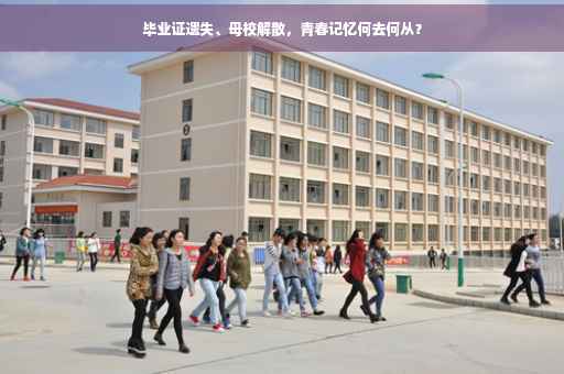 毕业证遗失、母校解散，青春记忆何去何从？