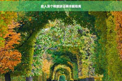 收入及个税缴纳证明详解指南