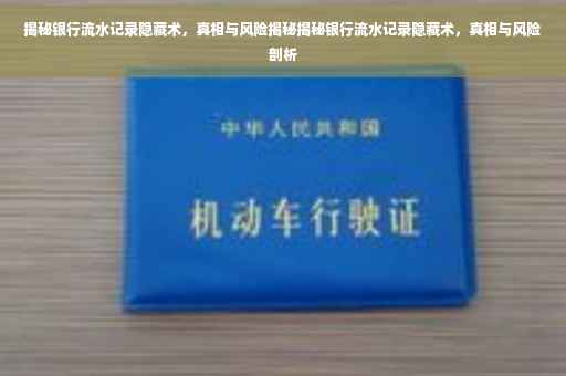 揭秘银行流水记录隐藏术，真相与风险揭秘揭秘银行流水记录隐藏术，真相与风险剖析