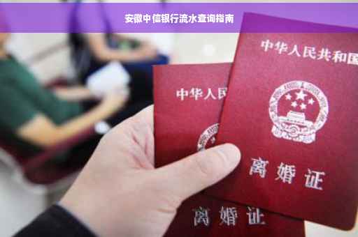 安徽中信银行流水查询指南
