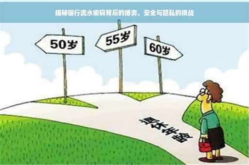 揭秘银行流水密码背后的博弈，安全与隐私的挑战