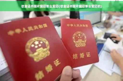 毕业证书图片复印怎么复印(毕业证书图片复印怎么复印的)