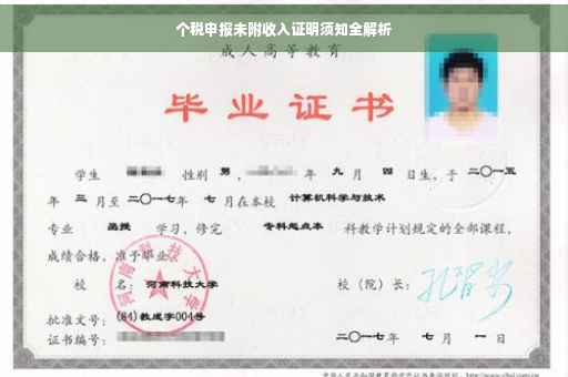 个税申报未附收入证明须知全解析