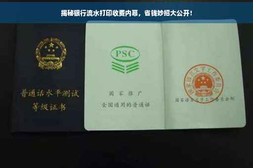 揭秘银行流水打印收费内幕，省钱妙招大公开！