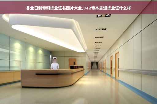非全日制专科毕业证书图片大全,3+2专本贯通毕业证什么样