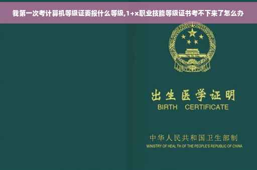 我第一次考计算机等级证要报什么等级,1+x职业技能等级证书考不下来了怎么办