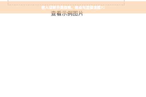 收入证明开具指南，地点与流程详解?✨