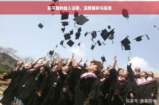 实习期的收入证明，深度解析与探索