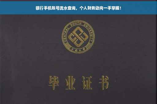 银行手机账号流水查询，个人财务动向一手掌握！