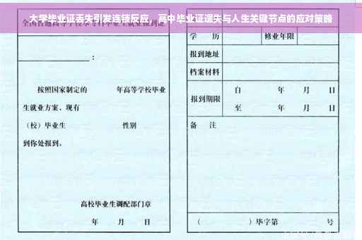 大学毕业证丢失引发连锁反应，高中毕业证遗失与人生关键节点的应对策略