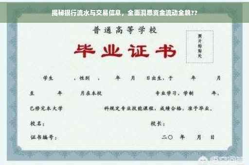揭秘银行流水与交易信息，全面洞悉资金流动全貌??
