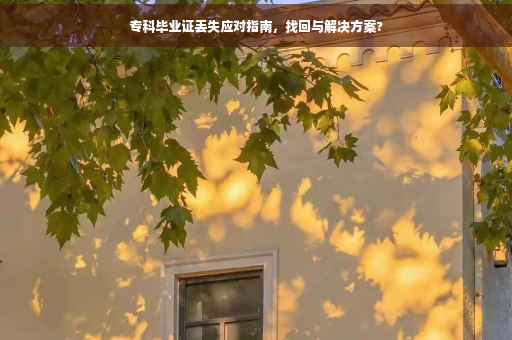 专科毕业证丢失应对指南，找回与解决方案?