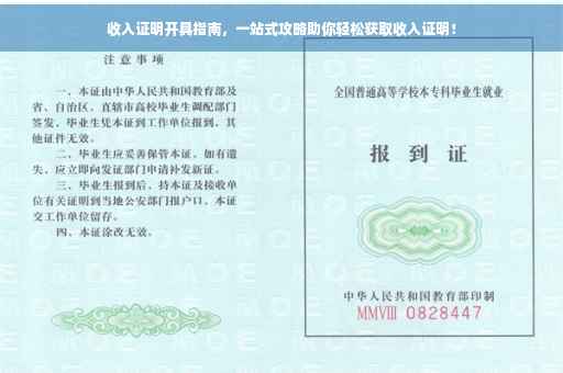 收入证明开具指南，一站式攻略助你轻松获取收入证明！