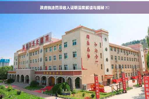 政府执法罚没收入证明深度解读与揭秘 ?✨