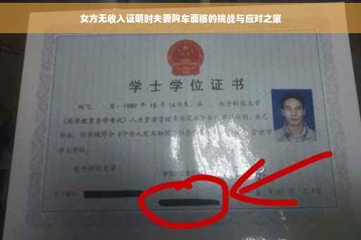 女方无收入证明时夫妻购车面临的挑战与应对之策