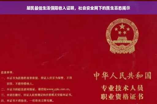 居民最低生活保障收入证明，社会安全网下的民生百态揭示