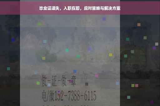 毕业证遗失，入职在即，应对策略与解决方案