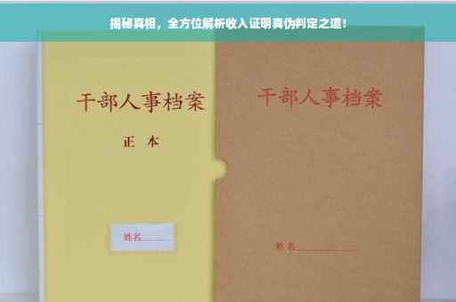 揭秘真相，全方位解析收入证明真伪判定之道！