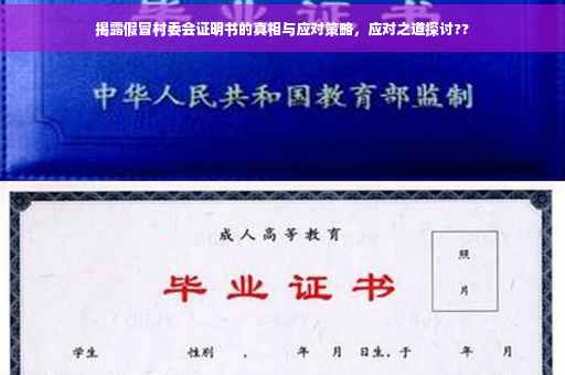 揭露假冒村委会证明书的真相与应对策略，应对之道探讨??