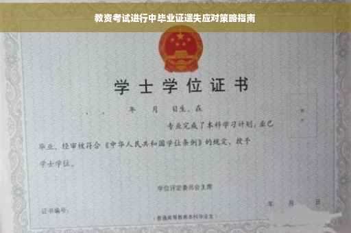 教资考试进行中毕业证遗失应对策略指南