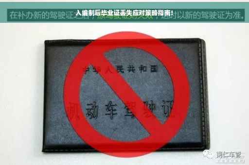 入编制后毕业证丢失应对策略指南！