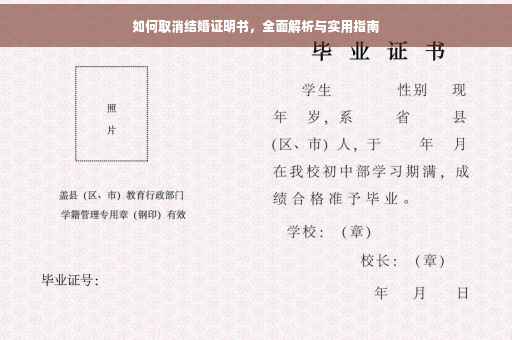 如何取消结婚证明书，全面解析与实用指南