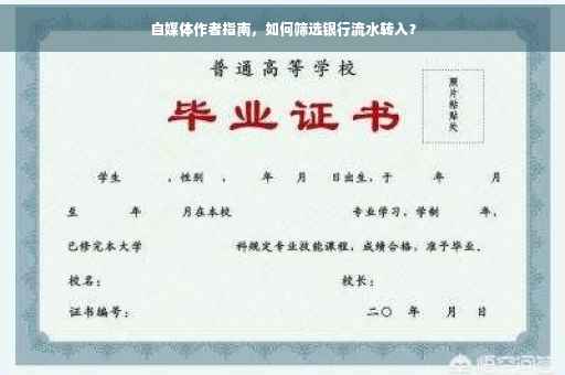 自媒体作者指南，如何筛选银行流水转入？