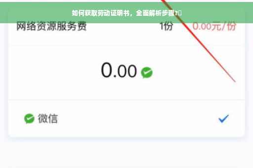如何获取劳动证明书，全面解析步骤?✨