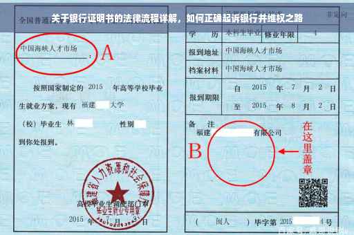 关于银行证明书的法律流程详解，如何正确起诉银行并维权之路