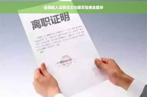 低保收入证明范文与撰写指南全解析