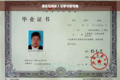西瓜视频收入证明详解指南