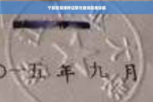 宁夏疫苗接种证明书查询指南详解