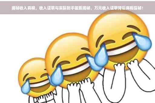 揭秘收入真相，收入证明与实际到手差距揭秘，万元收入证明背后真相探秘！