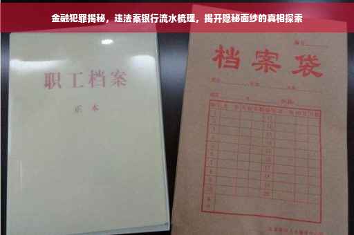 金融犯罪揭秘，违法案银行流水梳理，揭开隐秘面纱的真相探索