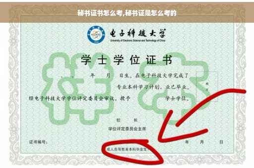 秘书证书怎么考,秘书证是怎么考的