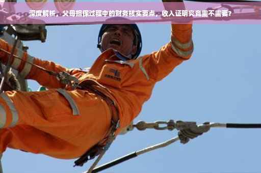 深度解析，父母担保过程中的财务核实要点，收入证明究竟需不需要？