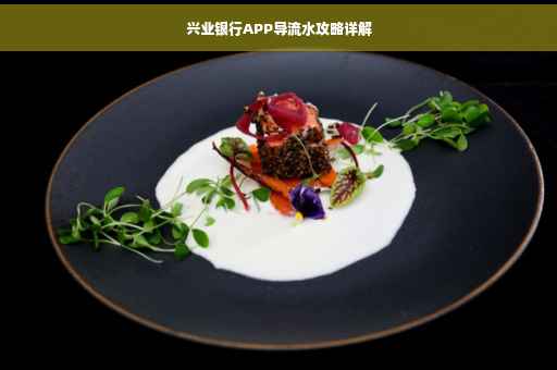 兴业银行APP导流水攻略详解