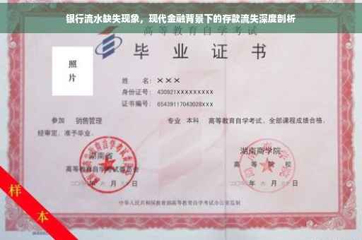 银行流水缺失现象,现代金融背景下的存款流失深度剖析 银行流水缺失现象,现代金融背景下的存款流失深度剖析