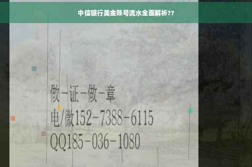 中信银行美金账号流水全面解析??