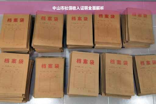 中山市社保收入证明全面解析