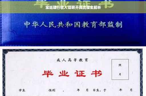 宝坻建行收入证明开具流程全解析