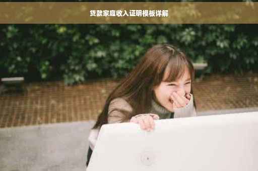 贷款家庭收入证明模板详解