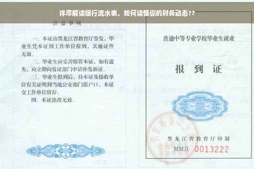 详尽解读银行流水表，如何读懂你的财务动态??