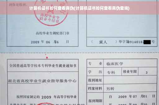 计算机证书如何查看真伪(计算机证书如何查看真伪查询)